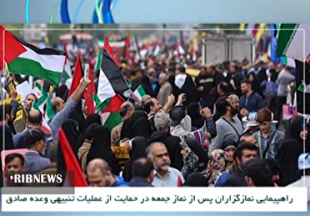 راهپیمایی سراسری حمایت از عملیات تنبیهی وعده صادق