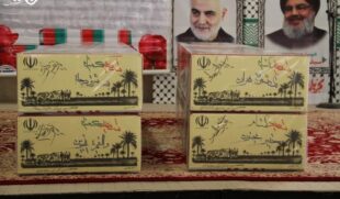 تجدید میثاق جمعی از بانوان اردبیل با شهید گمنام