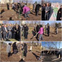 پویش درختکاری در سایه مادر در استان اردبیل برگزار شد
