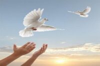 آزادی مادر اردبیلی توسط عزاداران حسینی