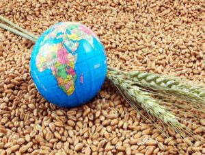 امنیت غذایی چالش مهم امروز و بحران آینده جهان / سیاست‌های اقتصاد مقاومتی راهبرد گذر از بحران تغذیه