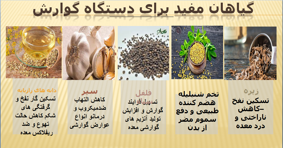 گیاهان دارویی مفید برای دستگاه گوارش بدن کدامند؟