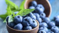 بلوبری؛ سالم‌ترین و مفید‌ترین میوه برای بدن