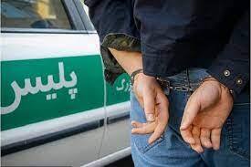 دستگیری سارق زورگیر با ۲۰ میلیارد ریال سرقت در اردبیل