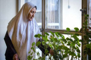 ۸۰ سالمند اردبیلی از طرح «مراقبت در منزل» بهزیستی بهره مند هستند