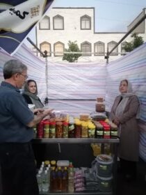 نمایشگاه «هزار بازار، هزار میدان» در خلخال گشایش یافت