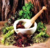 تولید گیاهان دارویی نسخه شفابخش بیکاری است