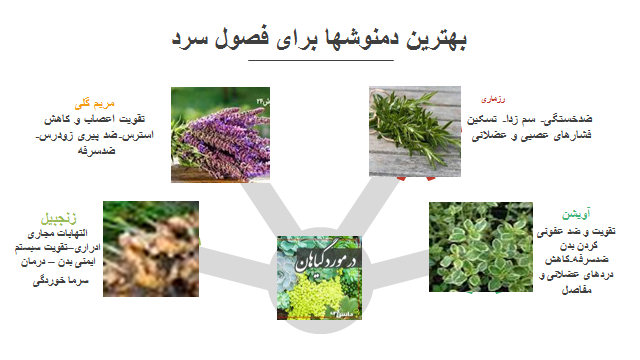 بهتربن دمنوش ها برای فصول سرد کدامند؟